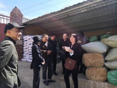 全國畜牧總站深入尋甸開展調研，共繪現代畜牧業與飼料銷售新藍圖